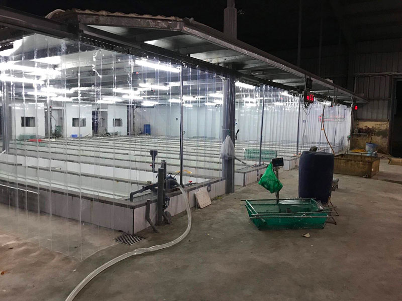 Rèm nhựa PVC công nghiệp